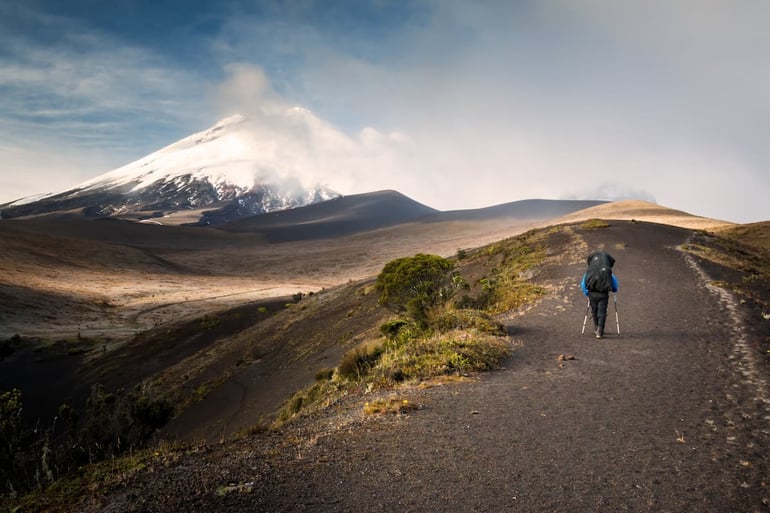shutterstock_1257325795 (1)